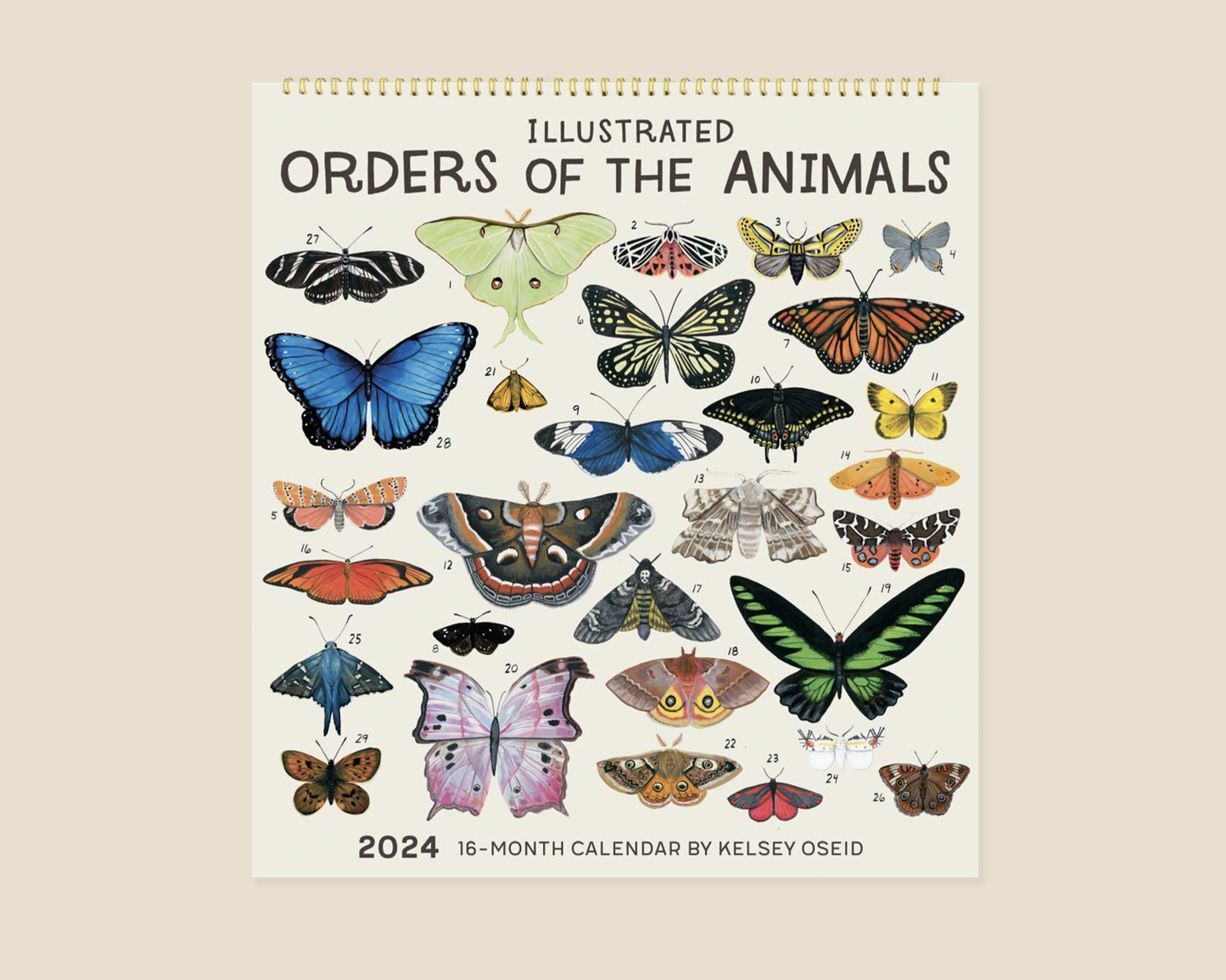 Orders of the Animals Wall Calendar - 2024- Kelzuki x High Note