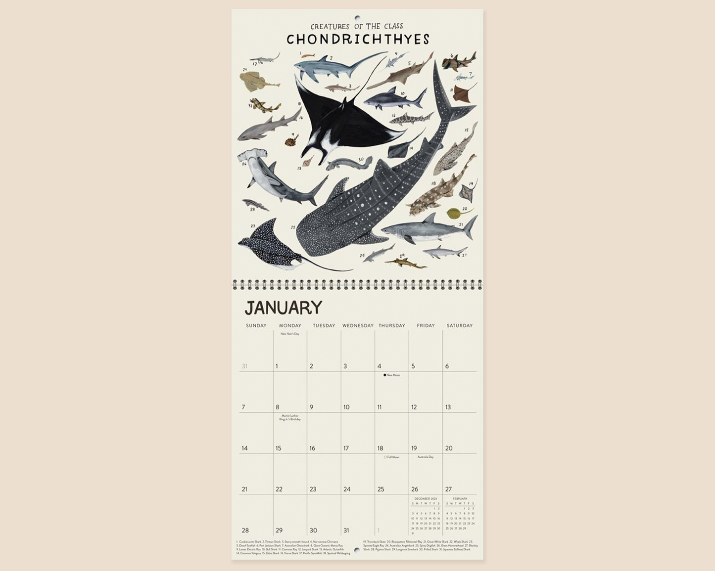 Orders of the Animals Wall Calendar - 2024- Kelzuki x High Note