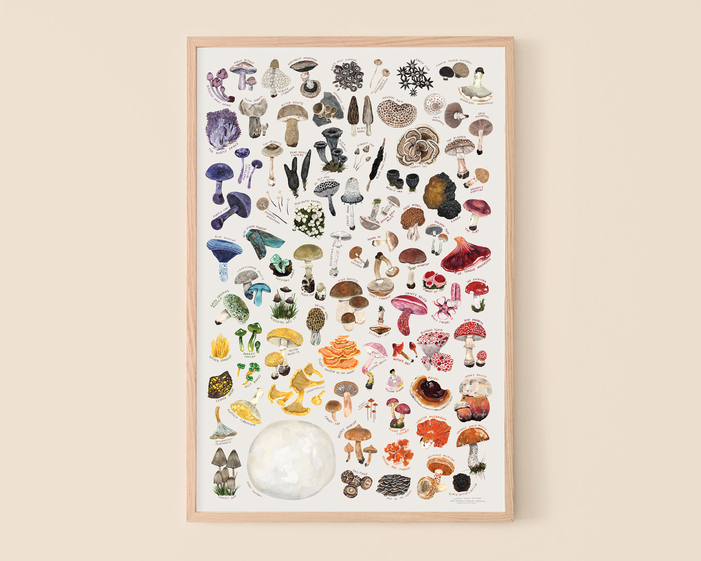 Rainbow of Mushrooms art print