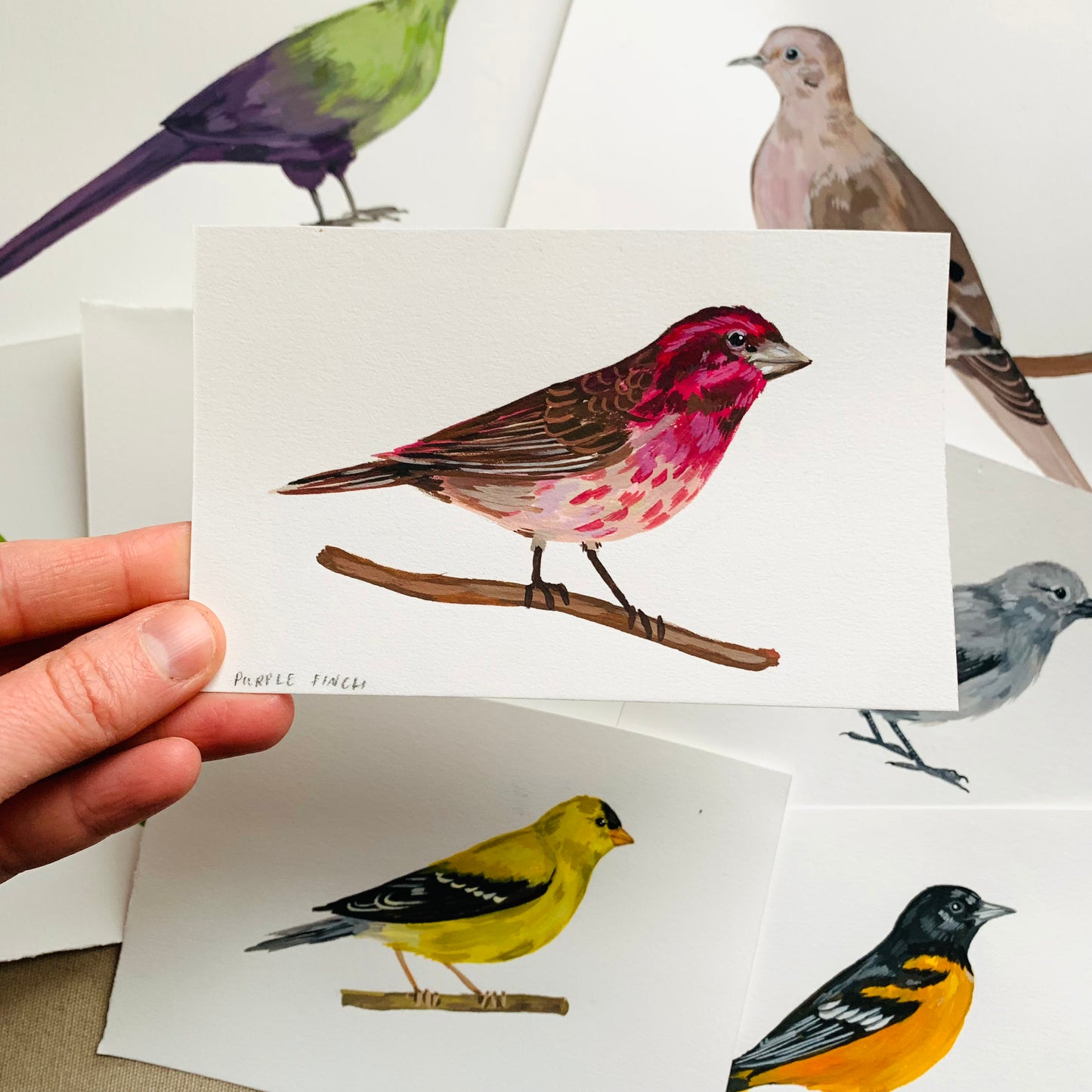 Purple finch- original painting