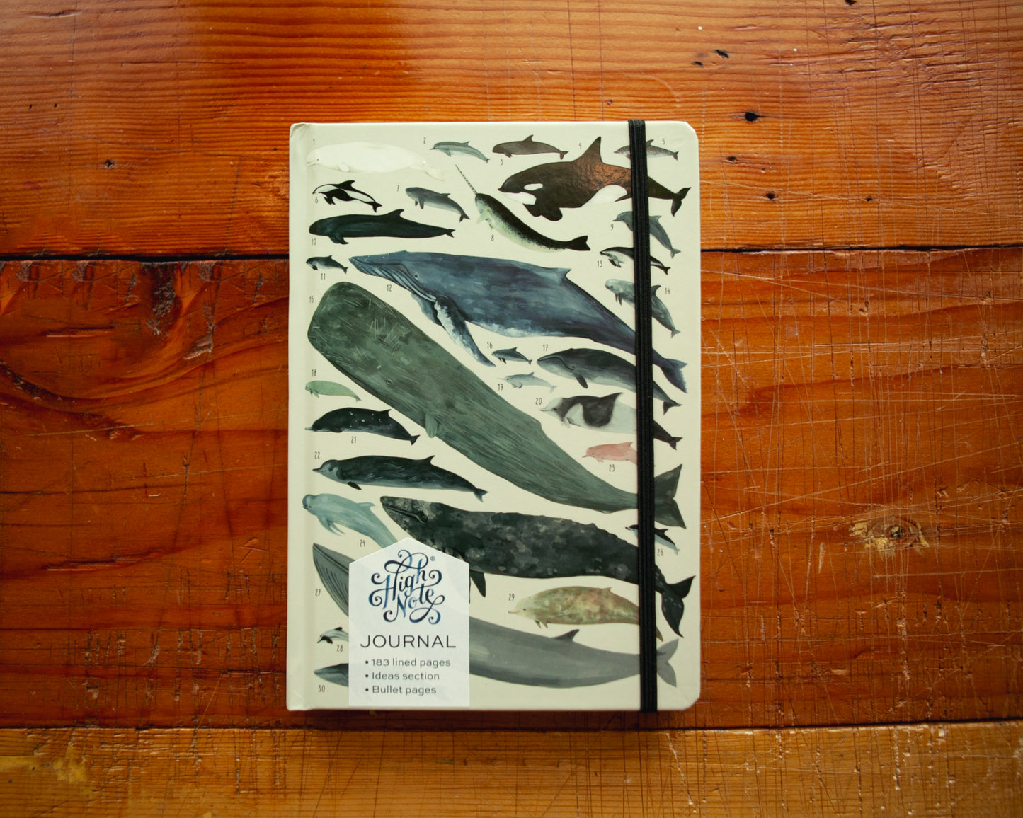 Whales hardcover journal