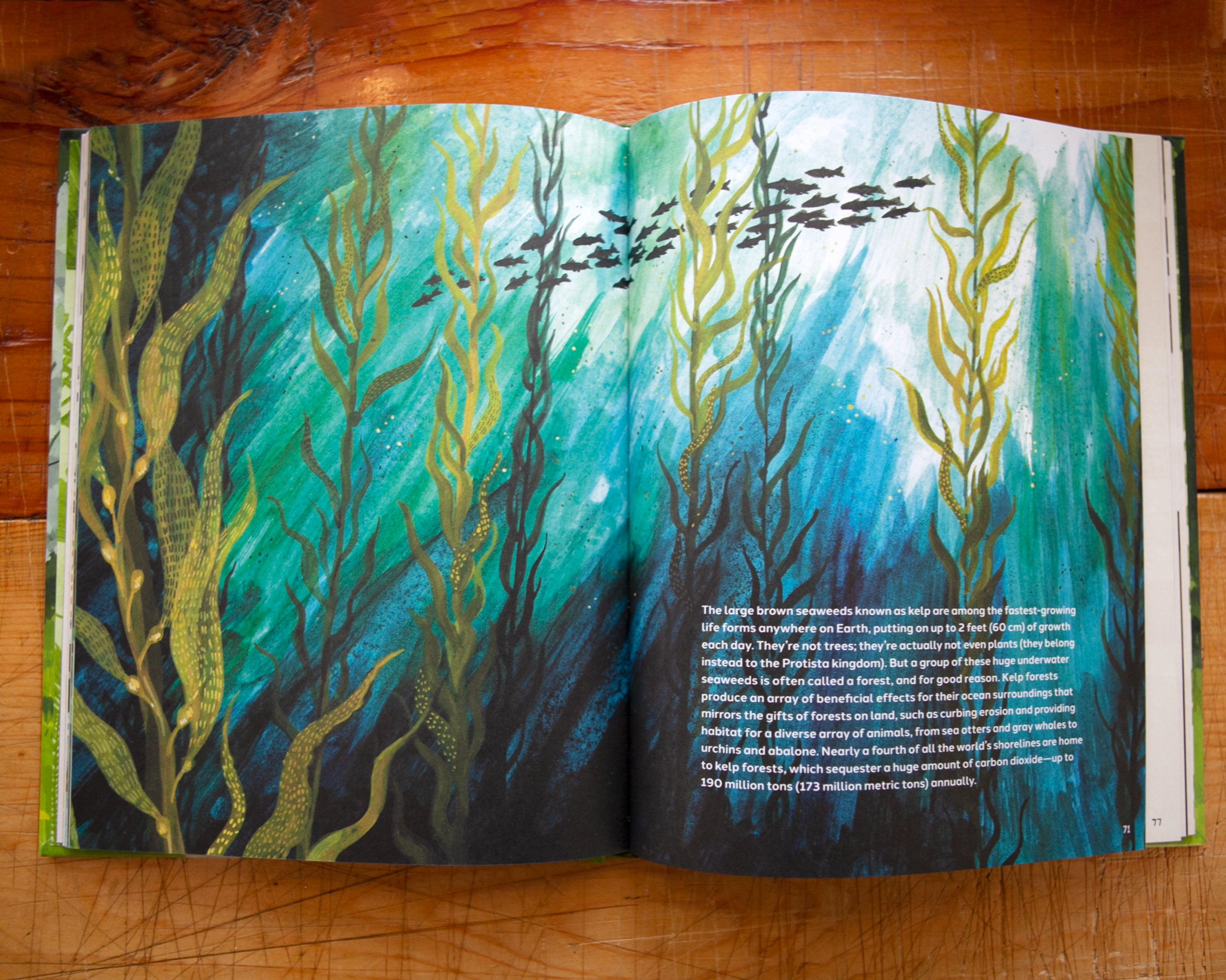 Trees: An Illustrated Celebration (signed copy) – Kelzuki