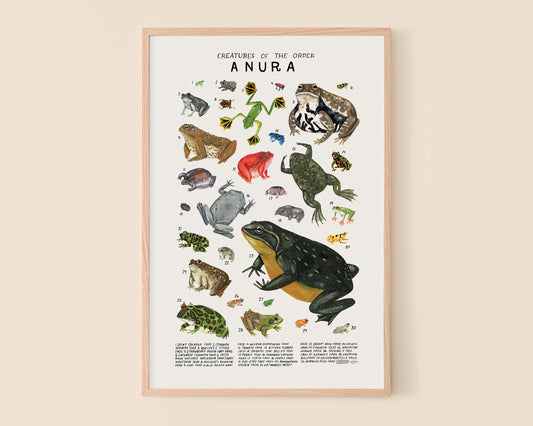 Frogs and Toads art print- Creatures of the Order Anura