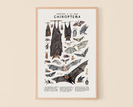 Bats art print- Creatures of the Order Chiroptera