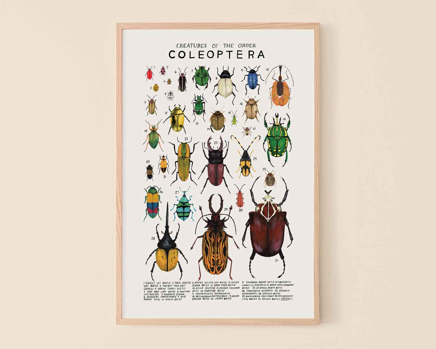 Beetles art print- Creatures of the Order Coleoptera