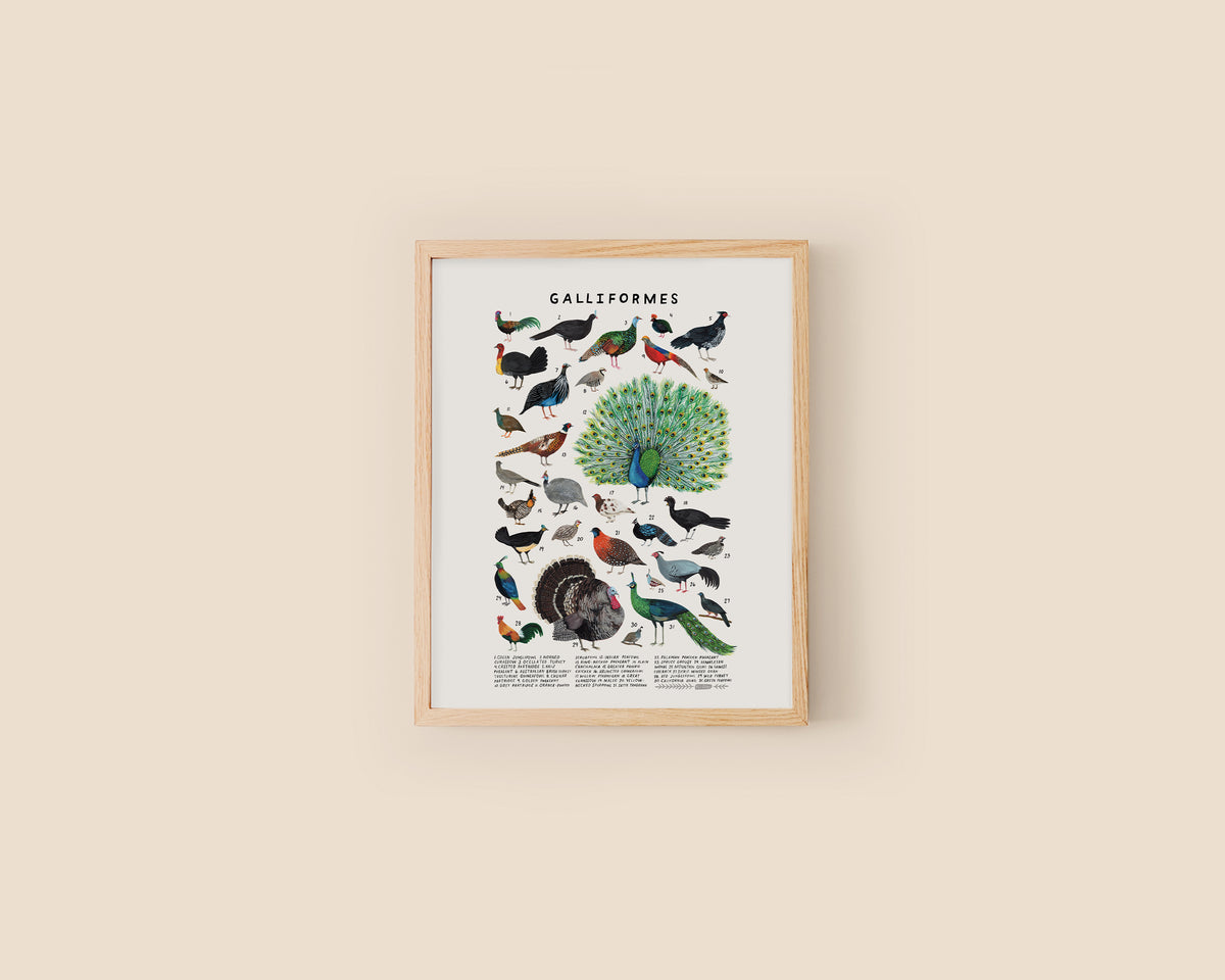 Galliformes Order Landfowl art print- Creatures of the Order Galliformes – Kelzuki