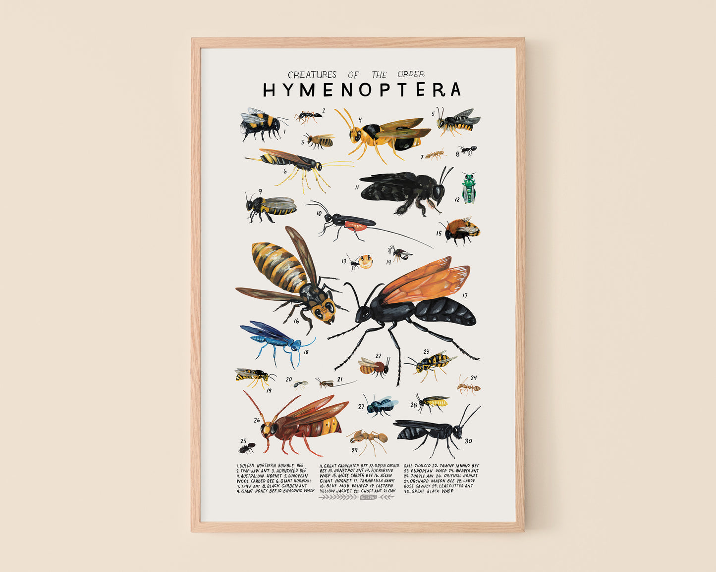 Bees, wasps and ants art print- Creatures of the Order Hymenoptera