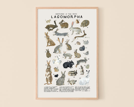 Rabbits, hares and pikas art print- Creatures of the Order Lagomorpha