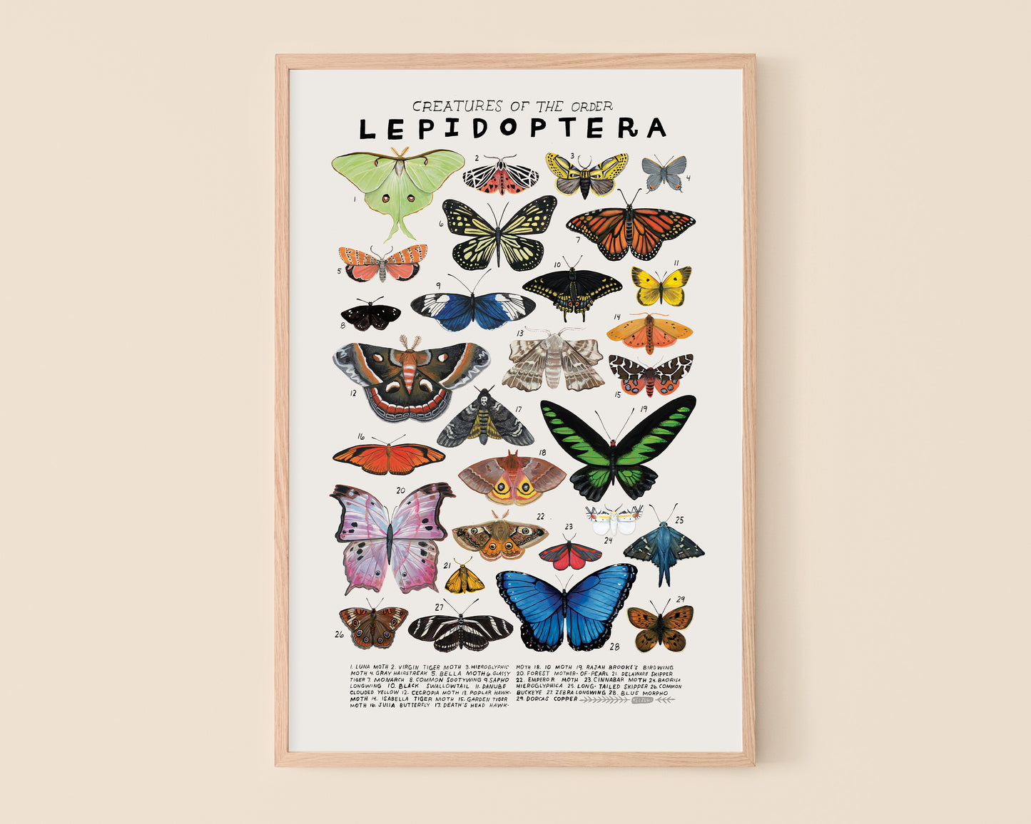 Butterflies and moths art print- Creatures of the Order Lepidoptera