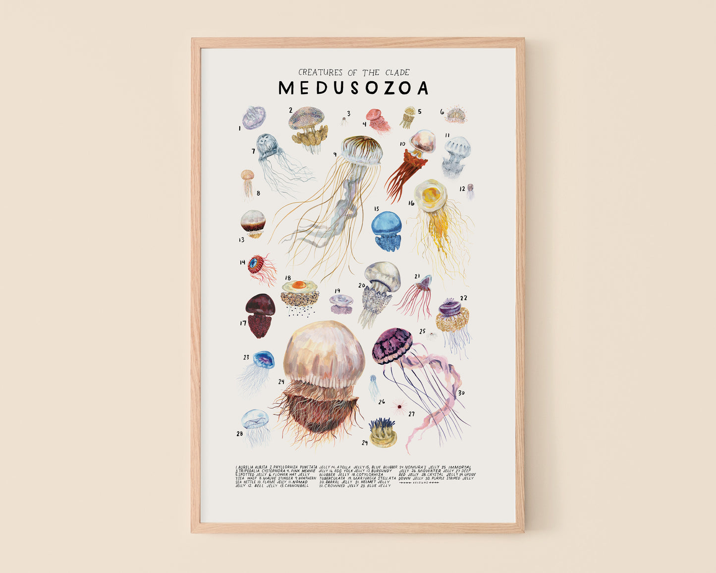 Jellyfish art print- Creatures of the Clade Medusozoa