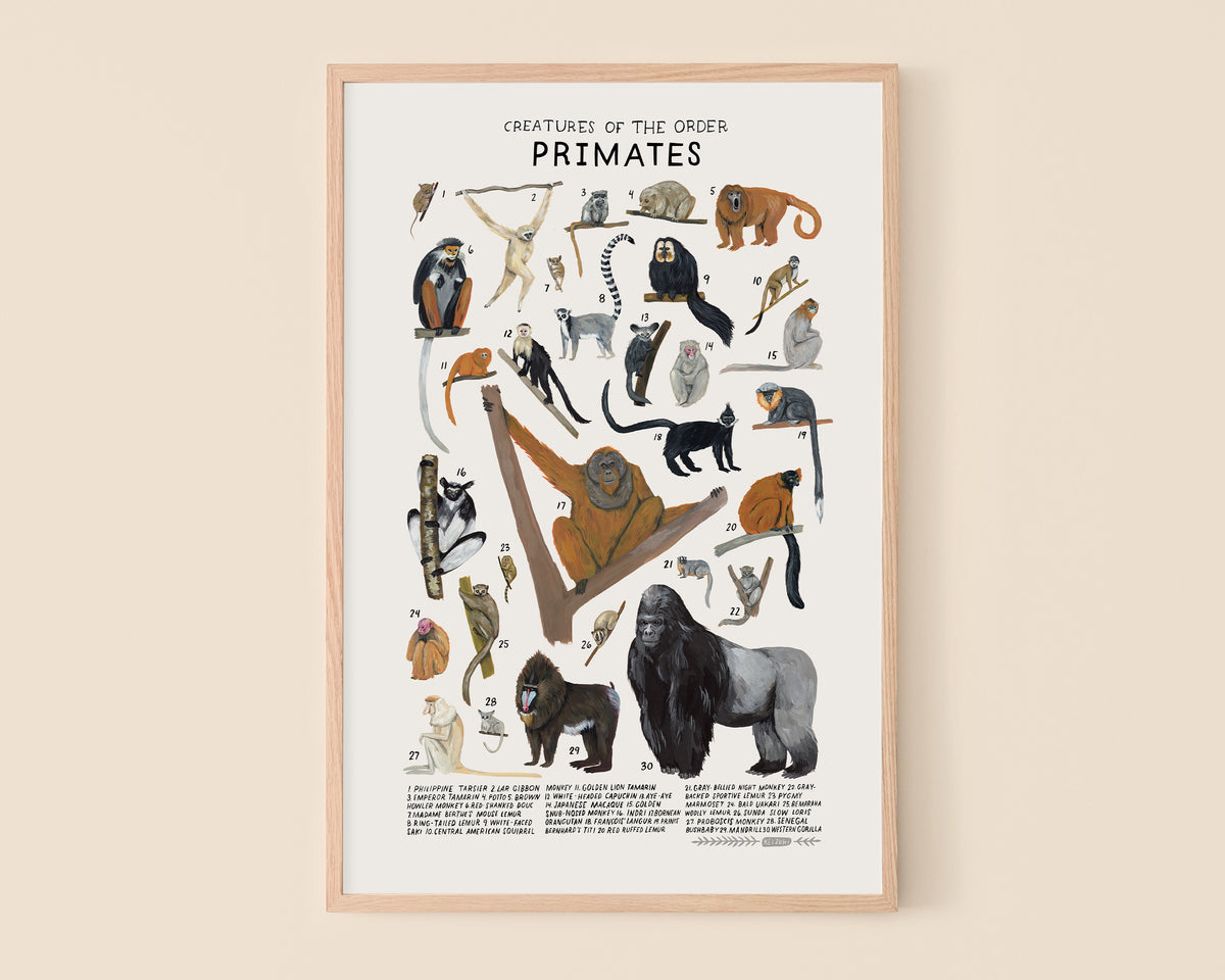 Primates Collection Primates art print- Creatures of the Order Primates – Kelzuki