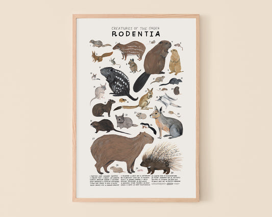 Squirrels, porcupines, and other rodents art print- Creatures of the Order Rodentia
