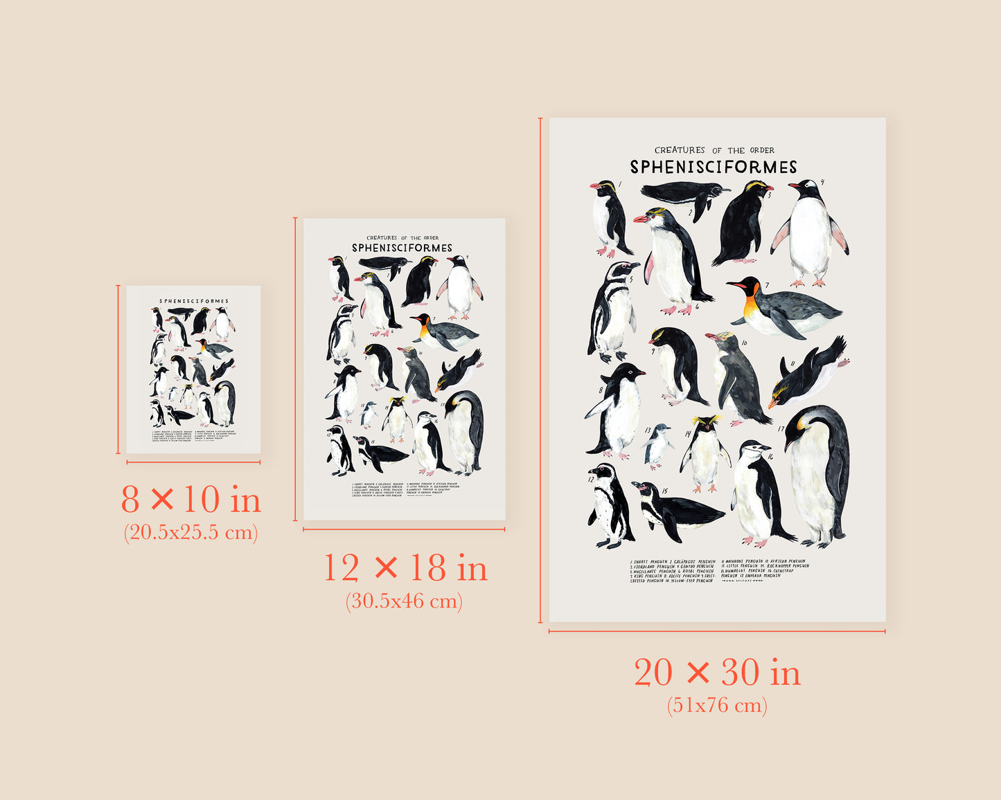 Penguins art print- Creatures of the Order Sphenisciformes