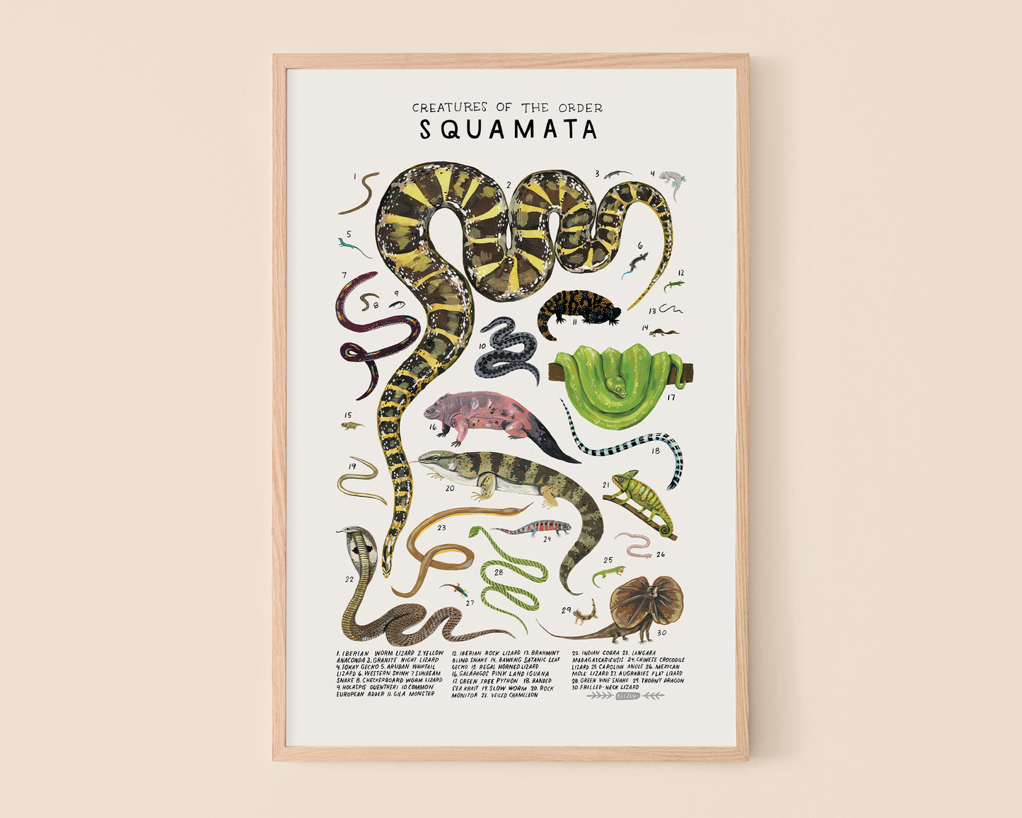 Snakes art print- Creatures of the Order Squamata